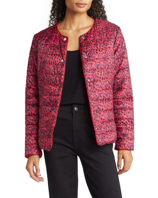 Tommy Bahama Reversible Snap Puffer Jacket in at