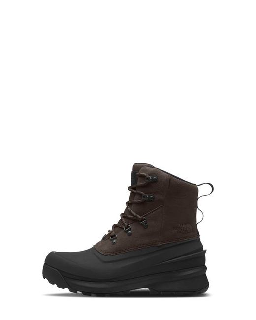 The North Face Chilkat V Waterproof Boot in Coffee Tnf Black at