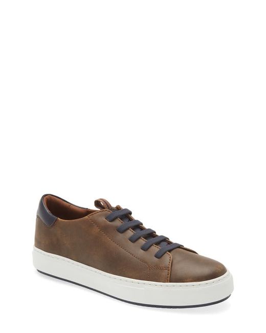 J & M Collection Anson Lace to Toe Sneaker in at