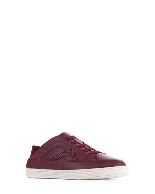 Time Slippers Wool Lined Low Top Sneaker in at
