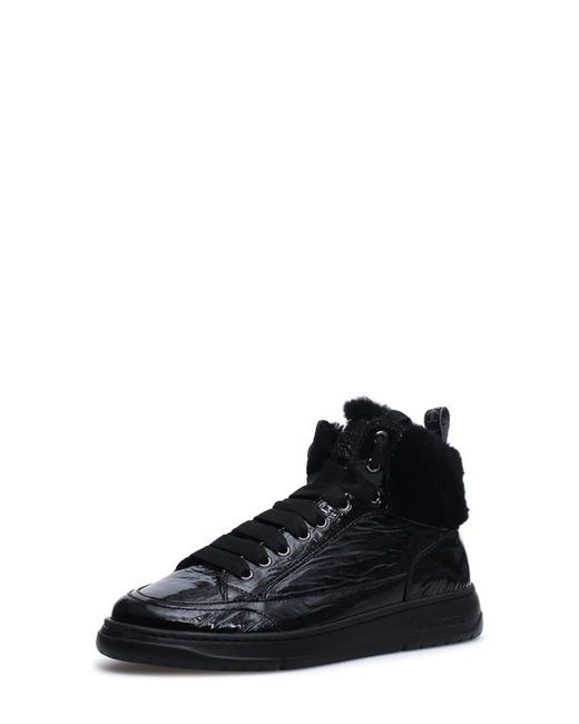 Candice Cooper Vela Genuine Shearling Mid Top Sneaker in at