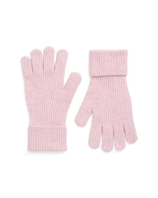 Ted Baker London Brittea Magnolia Rib Knit Gloves in at