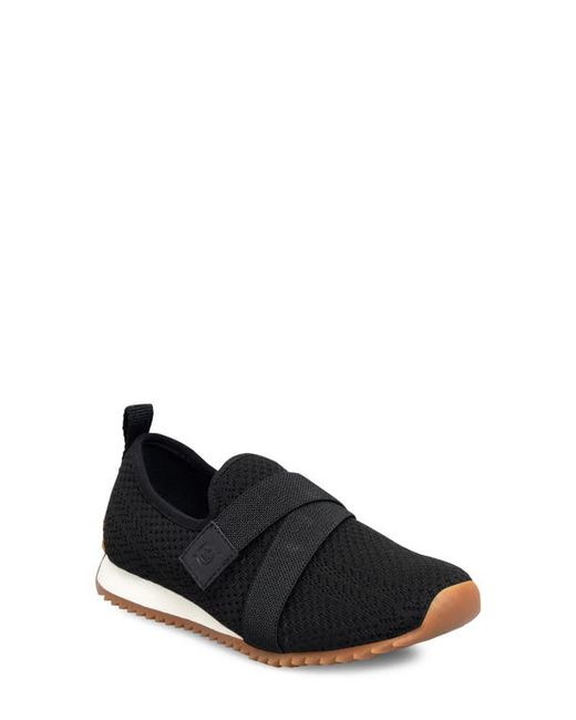 Børn Newberry Knit Sneaker in at