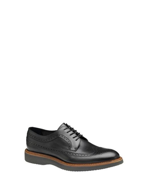 J & M Collection Jameson Longwing Derby in at