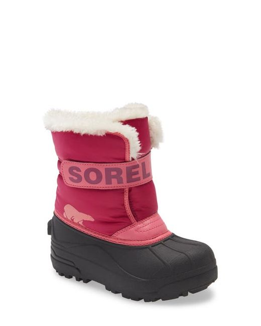 Sorel Snow Commander Insulated Waterproof Boot in Tropic Deep Blush at