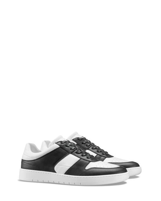 Koio Aventino Sneaker in at