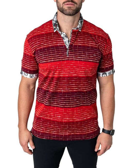 Maceoo Mozartundecided Stripe Cotton Polo in at