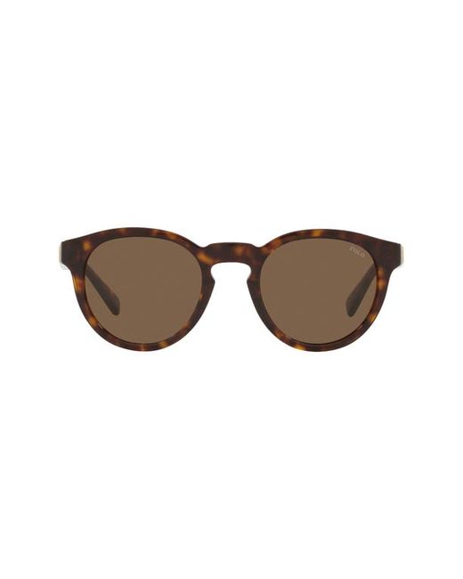 Polo Ralph Lauren 49mm Round Sunglasses in at
