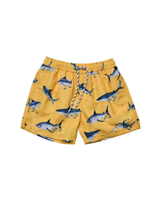 Snapper Rock Sunrise Shark Volley Board Shorts in at