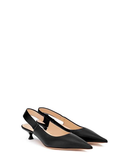 Agl Pointed Toe Pump in at