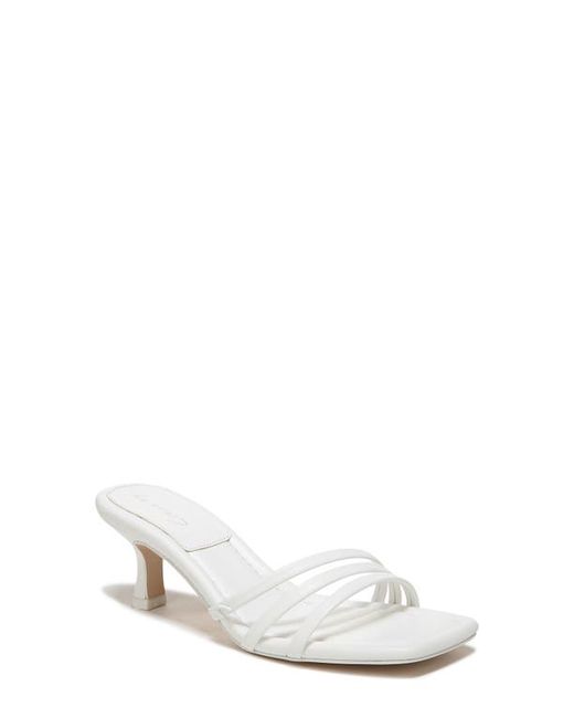 Circus by Sam Edelman Cecily Slide Sandal in at