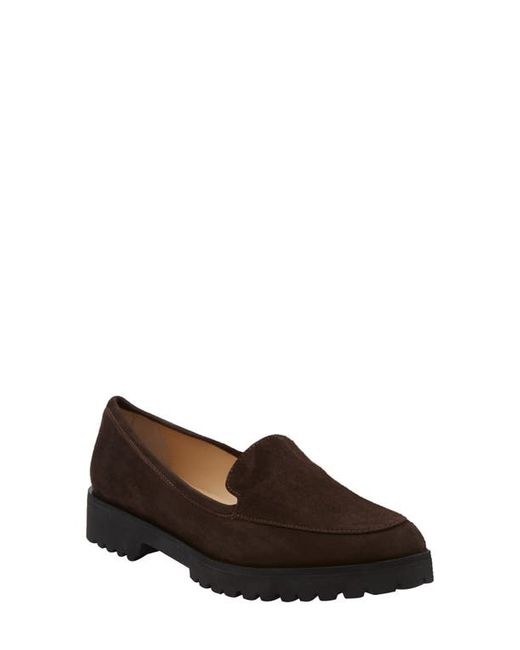 andrea carrano Suede Loafer in at