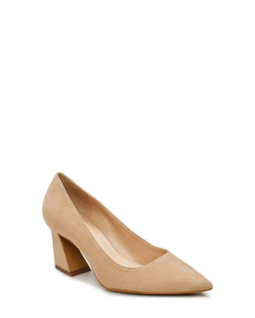 Vince Camuto Hailenda Pointed Toe Pump in at