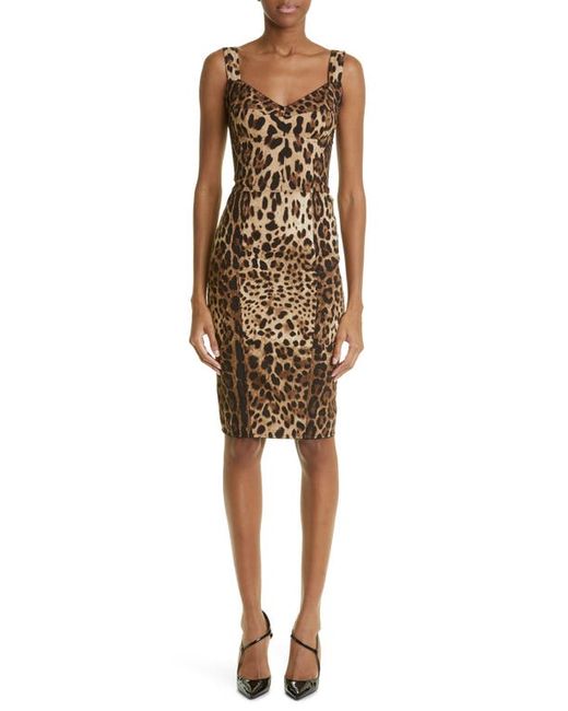Dolce & Gabbana Leopard Print Cady Bustier Dress in at