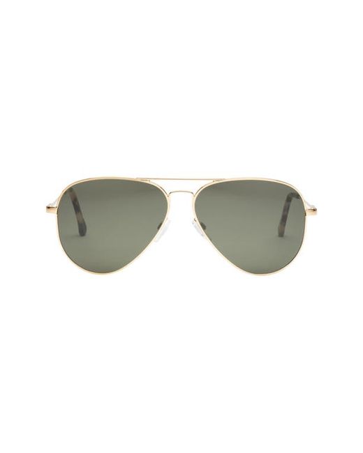 Electric AV1 XL 51mm Polarized Aviator Sunglasses in Shiny Gold/Grey Polar at