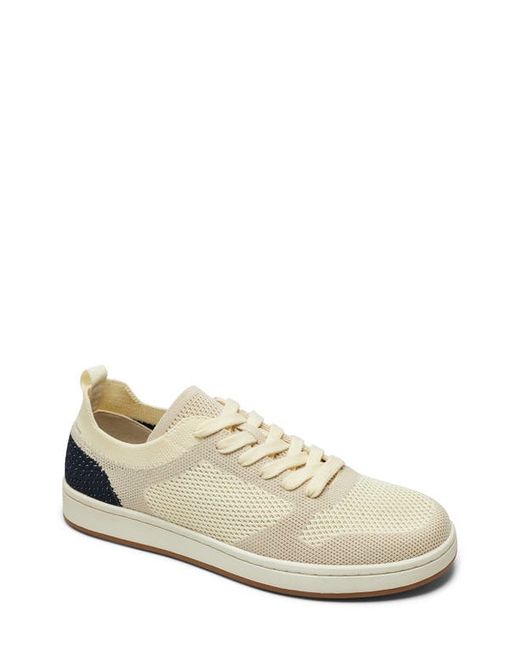 Suavs Colorblock Knit Sneaker in at