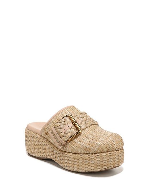 Circus by Sam Edelman Jacey Clog in at