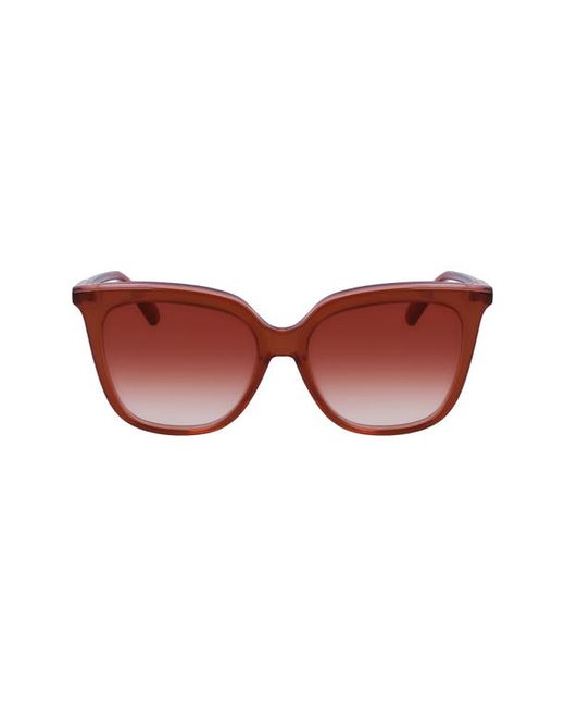 Longchamp 53mm Rectangular Sunglasses in Brown/Rose at