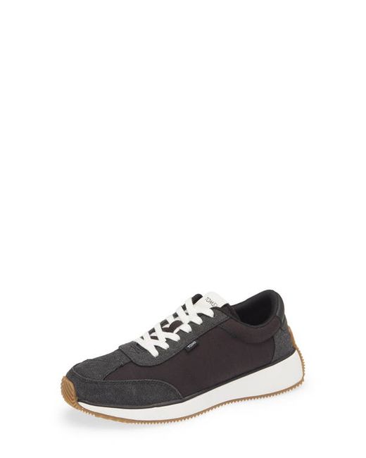 Toms Wyndon Sneaker in at