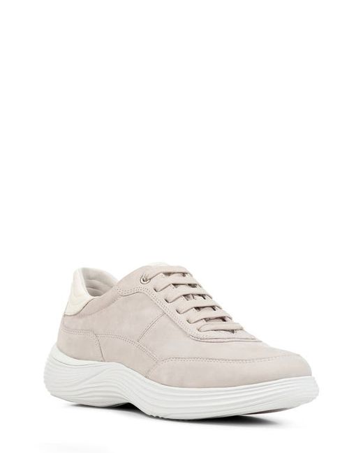 Geox Fluctis Sneaker in at