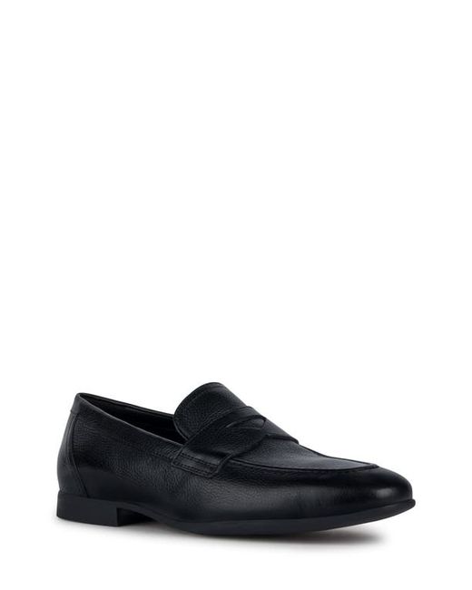 Geox Sapienza Penny Loafer in at