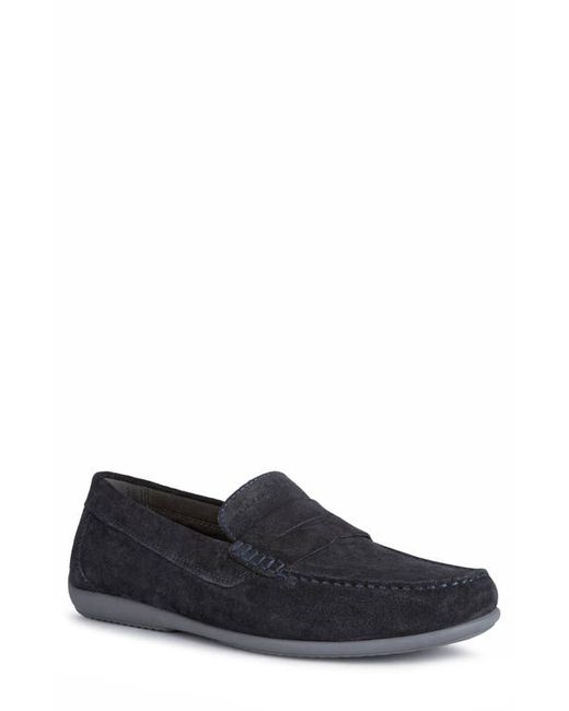 Geox Ascanio Penny Loafer in at