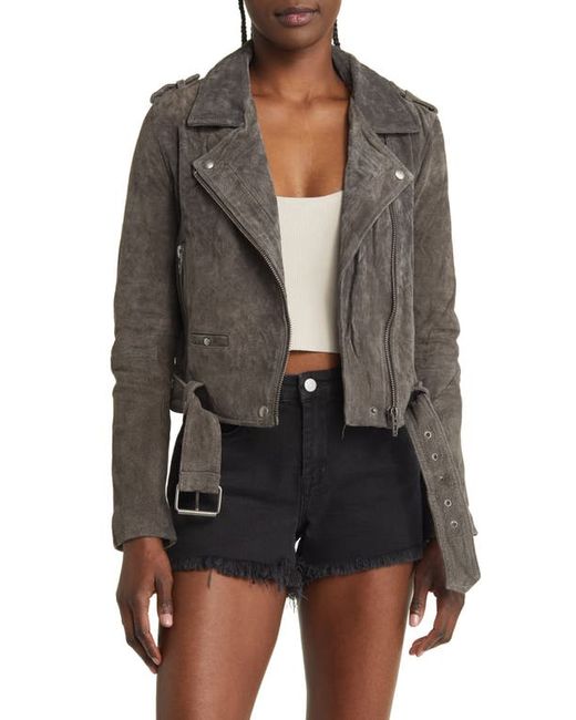 Blank NYC Suede Moto Jacket in at