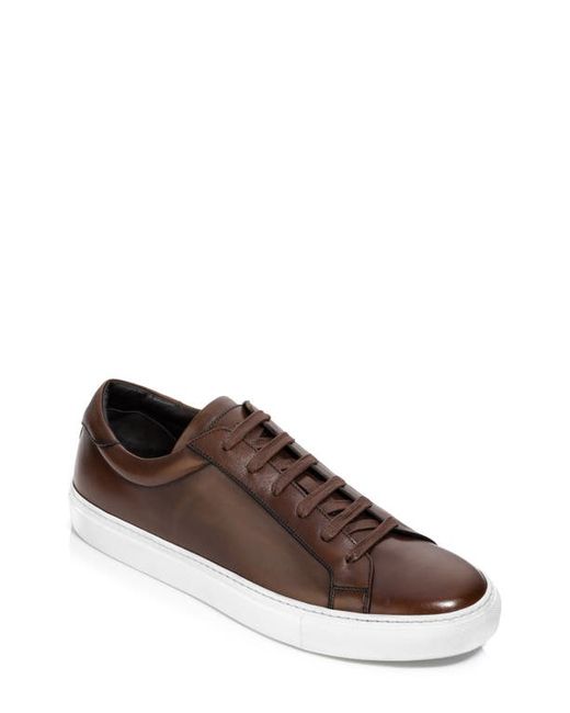 To Boot New York Sierra Sneaker in at