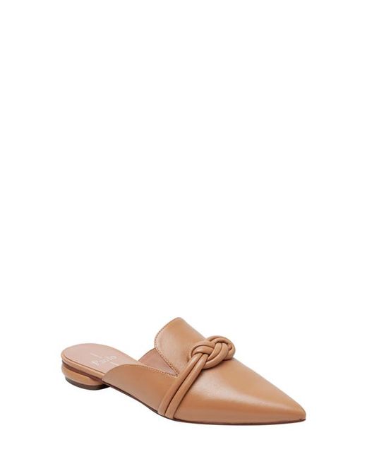 Linea Paolo Azelia Pointed Toe Mule in at