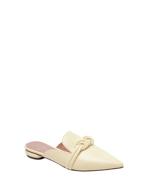Linea Paolo Azelia Pointed Toe Mule in at