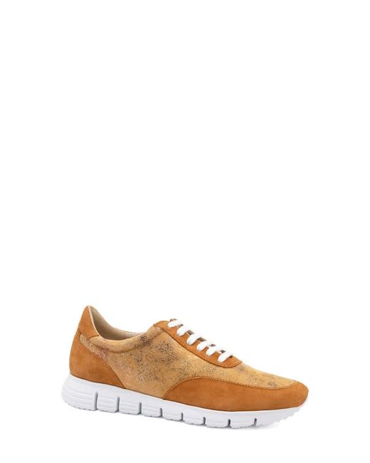 Amalfi by Rangoni Jera Sneaker in Tampalight Nude/Cashmere at