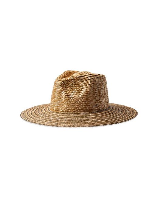 Brixton Joanna Festival Straw Hat in Honey/Sand at