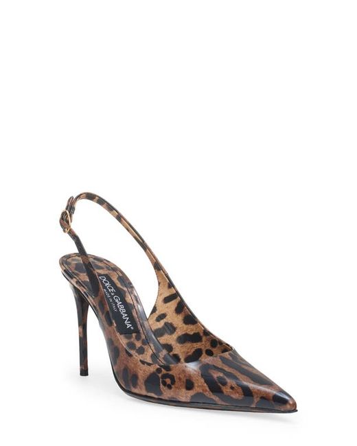 Dolce & Gabbana Leopard Print Pointed Toe Slingback Pump in at