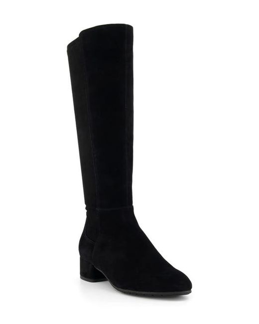 Dune London Tayla Knee High Boot in at