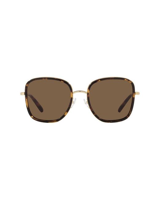 Tory Burch 53mm Square Sunglasses in at