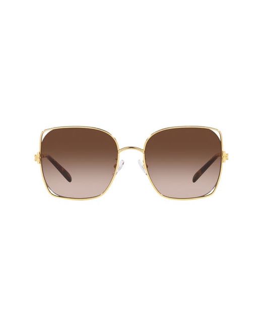 Tory Burch 55mm Square Sunglasses in at