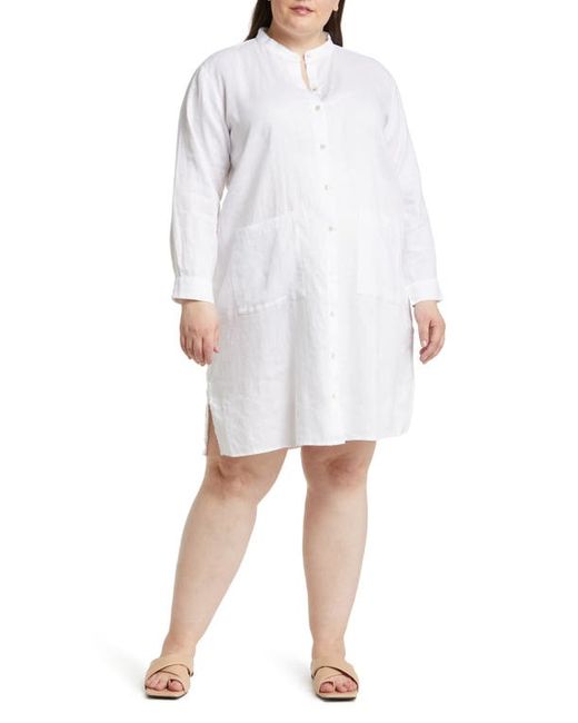 Eileen Fisher Mandarin Collar Long Sleeve Organic Cotton Shirtdress in at