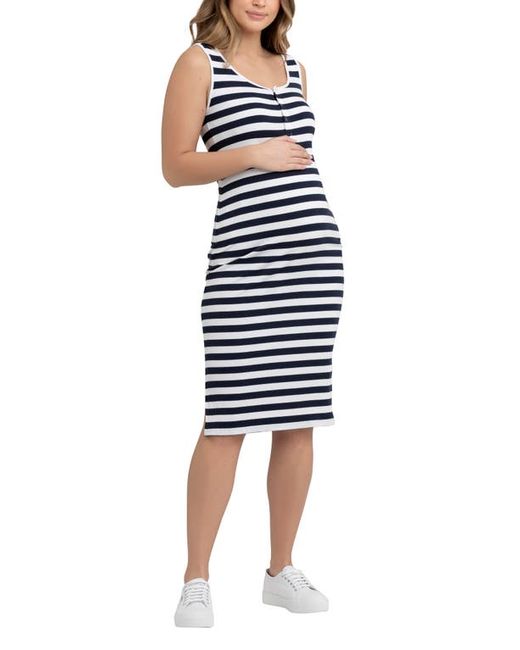 Ripe Maternity Lee Stripe Snap Button Maternity/Nursing Dress in Navy White at
