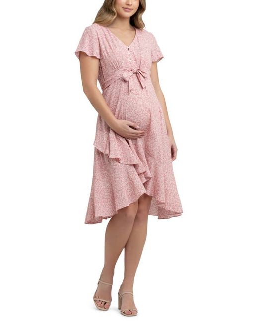 Ripe Maternity Vanessa Floral Print Maternity/Nursing Dress in at