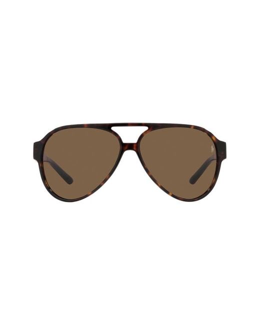 Polo Ralph Lauren 61mm Aviator Sunglasses in at