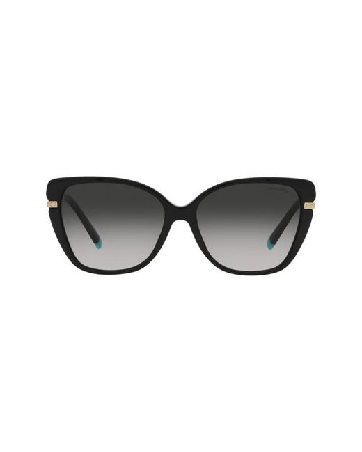 Tiffany & co. . 57mm Gradient Cat Eye Sunglasses in at