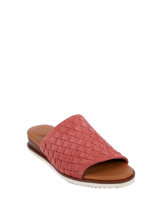 Gentle Souls by Kenneth Cole Angie Slide Sandal in at