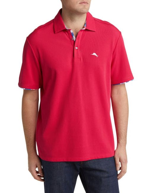 Tommy Bahama Fiesta Fronds Five OClock Polo in at