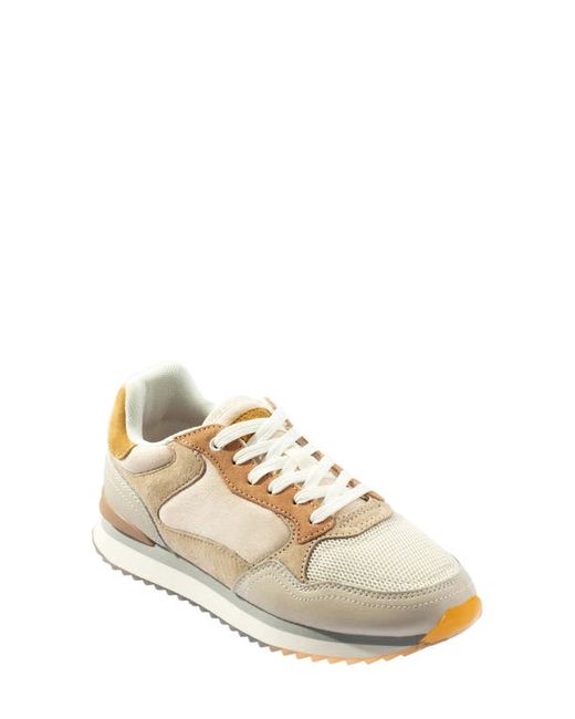 Hoff Toulouse Sneaker in at