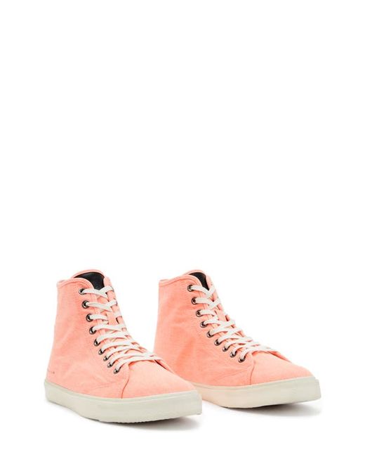 AllSaints Bryce High Top Sneaker in at