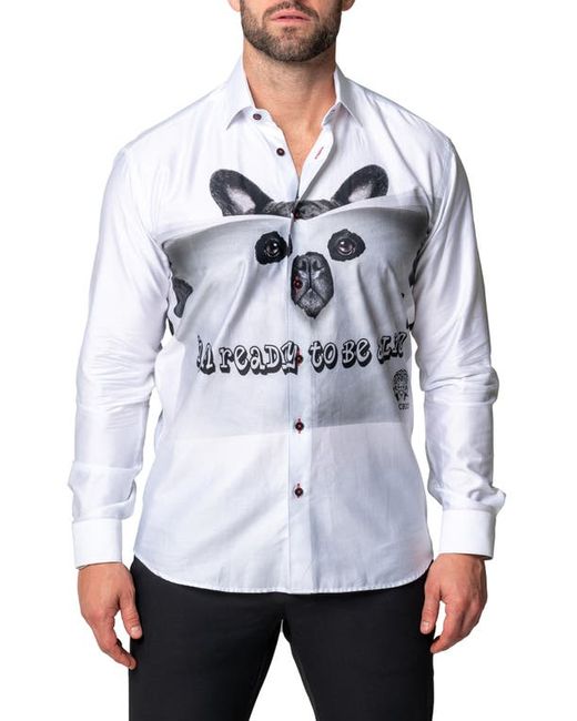 Maceoo Fibonacci Lion Time Regular Fit Cotton Blend Button-Up Shirt in at