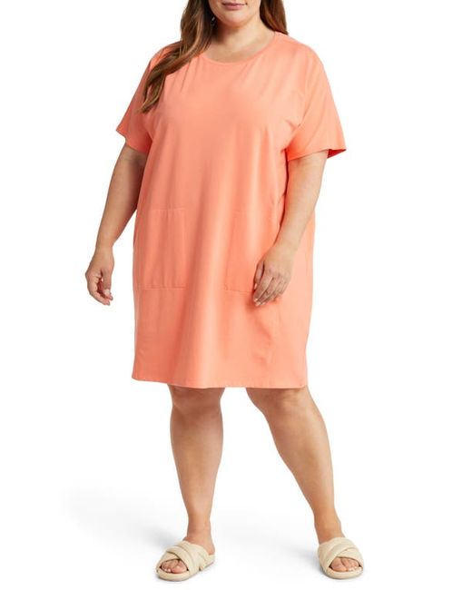 Eileen Fisher Dolman Sleeve Organic Pima Cotton Blend T-Shirt Dress in at