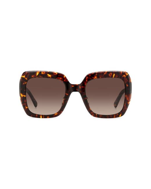 Kate Spade New York naomis 52mm gradient square sunglasses in Havana Gradient at