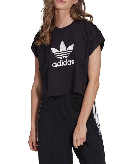 Adidas Lifestyle Trefoil Cotton Graphic T-Shirt in at X-Small Regular