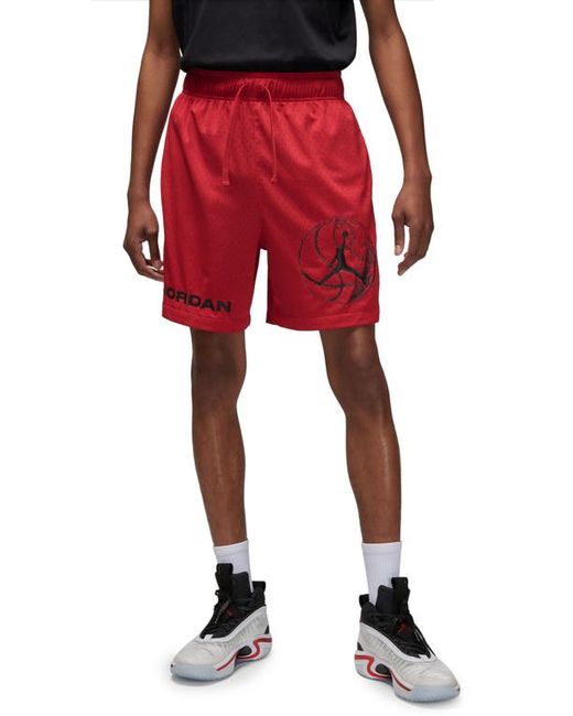 Jordan Dri-FIT Mesh Basketball Shorts in Gym Black at Medium